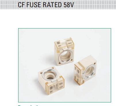 155.0892.5751 - CF8系列 力特，力特保險絲，力特官網，力特電子